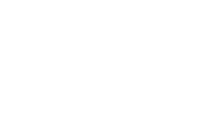 bridor